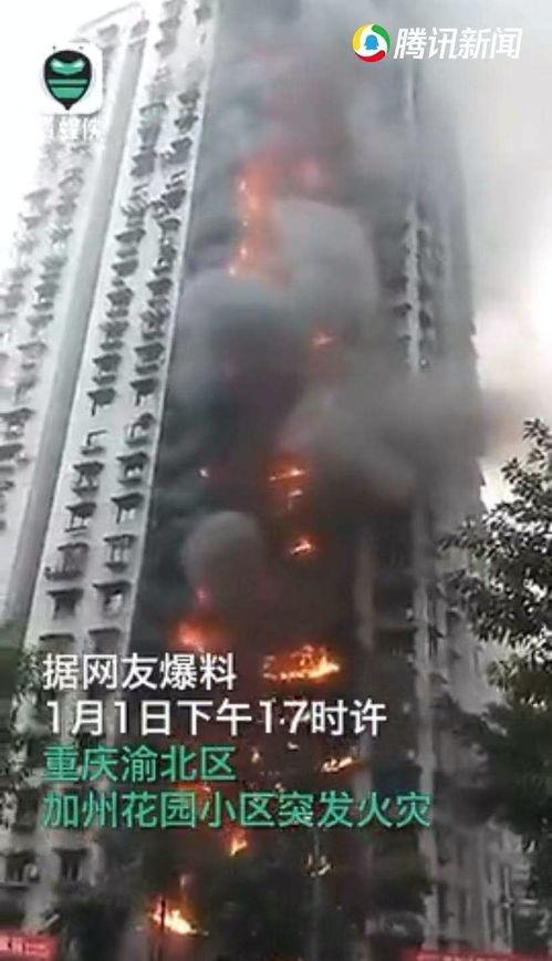新闻青蜂侠爆料,揭秘新闻背后的真相与内幕 第2张 新闻青蜂侠爆料,揭秘新闻背后的真相与内幕 第2张
