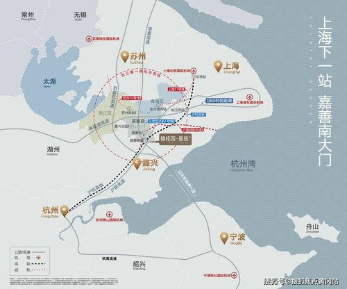 古董商爆料最近活动视频,珍贵古董亮相引热议