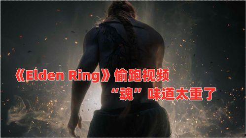 黑暗爆料 免费视频观看,免费视频观看背后的秘密
