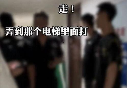 北京爆料石家庄事件视频,石家庄事件视频引发社会关注