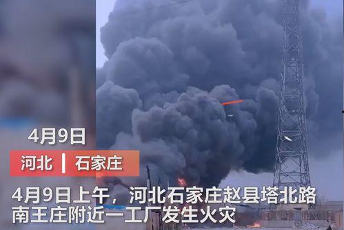 北京爆料石家庄事件视频,石家庄事件视频引发社会关注  第3张