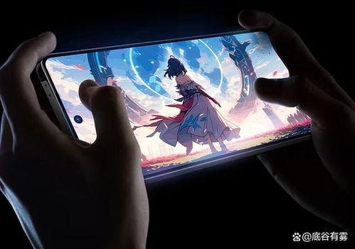 IQOO13手机最新爆料 第2张 IQOO13手机最新爆料 第2张