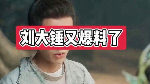 刘大锤爆料原版视频大全,原版视频大全背后的精彩故事