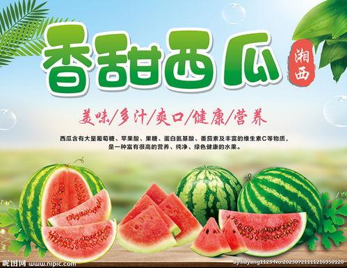 吃瓜娱乐封面设计图片大全,盘点潮流视觉盛宴 第2张 吃瓜娱乐封面设计图片大全,盘点潮流视觉盛宴 第2张