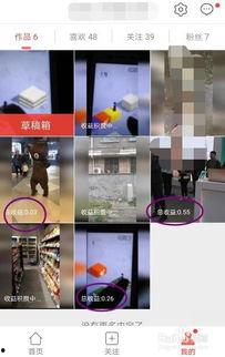 拍视频爆料怎么赚钱的呀,如何通过拍视频实现财富增长 第3张 拍视频爆料怎么赚钱的呀,如何通过拍视频实现财富增长 第3张