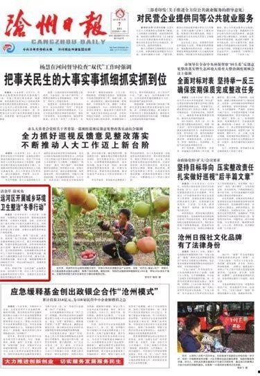 沧州爆料最新新闻,聚焦城市动态与民生热点 第3张 沧州爆料最新新闻,聚焦城市动态与民生热点 第3张