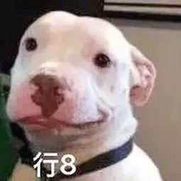 娱乐圈吃瓜蛙,揭秘明星幕后故事与八卦风云 第3张 娱乐圈吃瓜蛙,揭秘明星幕后故事与八卦风云 第3张