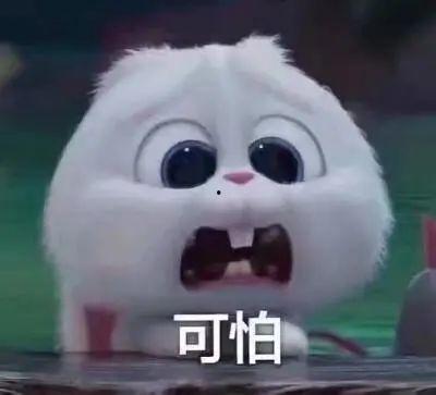 网红炸裂吃瓜事件真相,真相背后的惊人内幕 第3张 网红炸裂吃瓜事件真相,真相背后的惊人内幕 第3张