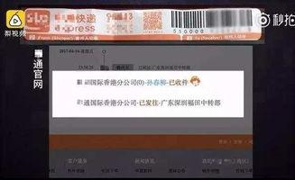 假货爆料新闻视频下载,视频曝光新闻背后的惊人真相