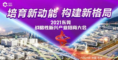 东莞新闻今日凤岗爆料,东莞热点事件追踪