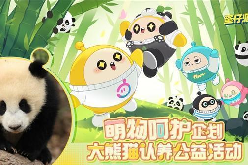 蛋仔熊猫面具爆料视频大全,揭秘神秘面具背后的故事