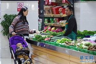 郑州菜市场爆料视频最新,揭秘真实价格与食品安全现状 第3张 郑州菜市场爆料视频最新,揭秘真实价格与食品安全现状 第3张