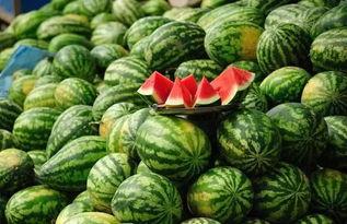 免费吃瓜天,揭秘网络世界的狂欢盛宴