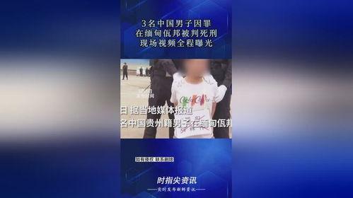 缅甸佤邦爆料视频播放网,视频爆料揭示真实一面  第1张