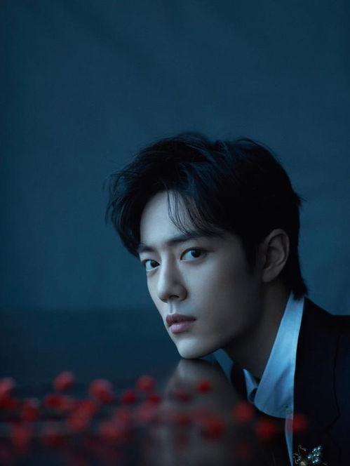 王源爆料王菲是哪一期视频,王菲现身哪一期视频引发热议 第3张 王源爆料王菲是哪一期视频,王菲现身哪一期视频引发热议 第3张