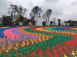 风车爆料最新,风车爆料最新动态，带你领略科技前沿