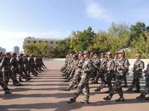 最新军训爆料文案,揭秘最新爆料背后的热血瞬间 第2张 最新军训爆料文案,揭秘最新爆料背后的热血瞬间 第2张