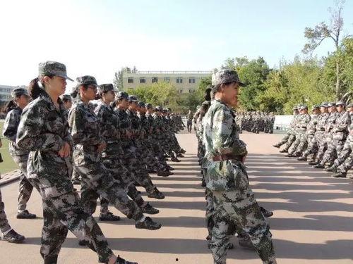 最新军训爆料文案,揭秘最新爆料背后的热血瞬间 第3张 最新军训爆料文案,揭秘最新爆料背后的热血瞬间 第3张