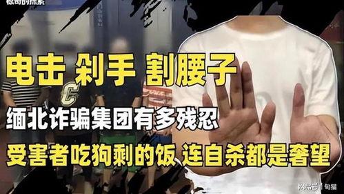 爆料缅北高清视频大全最新,最新高清视频大全深度解析 第3张 爆料缅北高清视频大全最新,最新高清视频大全深度解析 第3张