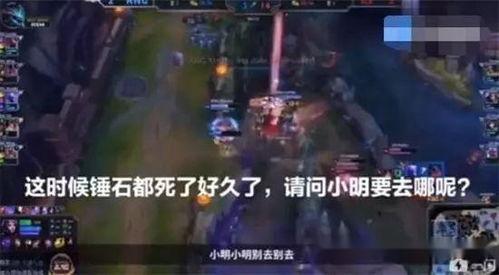 黑龙爆料假拳视频大全集,假拳视频大全集深度剖析