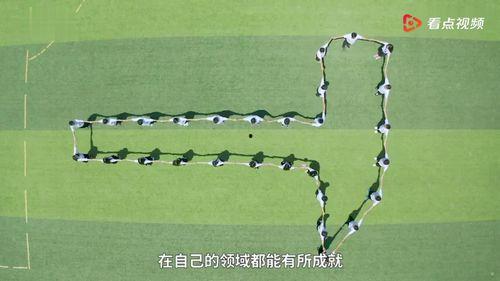 西安爆料的视频,一幕幕引人深思的社会现象