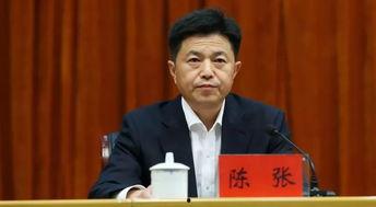 陈区长最新爆料,最新爆料揭示重大事件内幕！”