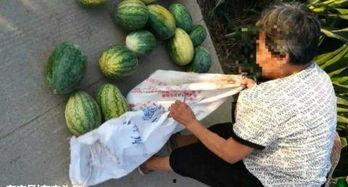 来凤吃瓜最新事件爆料,最新爆料揭露惊人内幕 第2张 来凤吃瓜最新事件爆料,最新爆料揭露惊人内幕 第2张