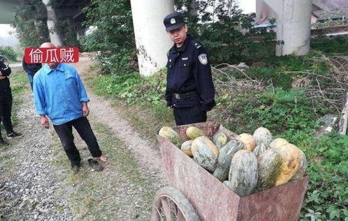 来凤吃瓜最新事件爆料,最新爆料揭露惊人内幕 第3张 来凤吃瓜最新事件爆料,最新爆料揭露惊人内幕 第3张