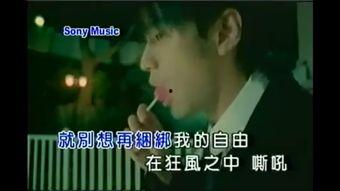 困兽之斗爆料视频大全,揭秘爆料视频背后的真相与冲突 第2张 困兽之斗爆料视频大全,揭秘爆料视频背后的真相与冲突 第2张