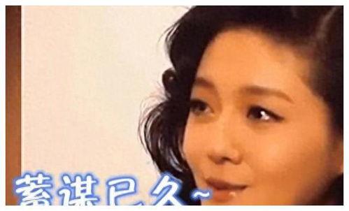 娱乐圈真实事件爆料是真的吗,揭秘真相与谣言的交织