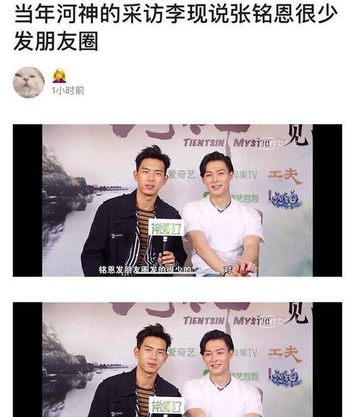 爆料丑照视频,明星丑照视频引发热议，真相究竟如何？