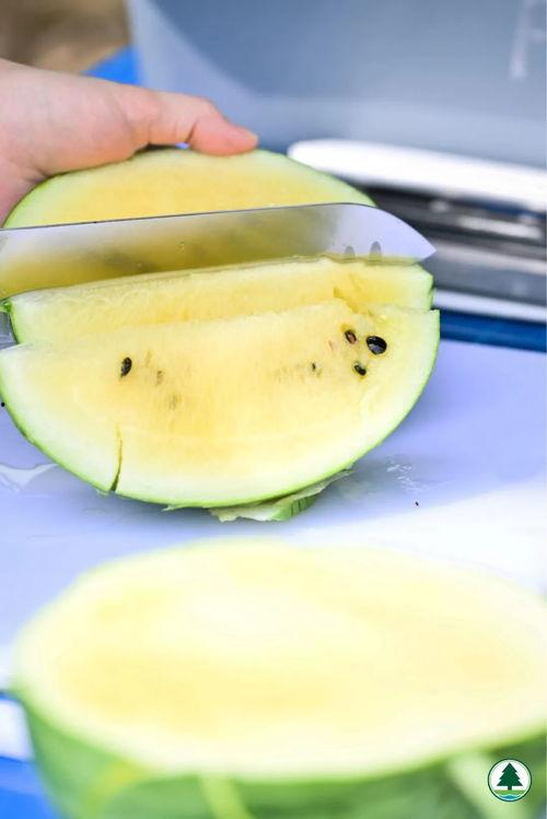 全网免费吃瓜贴吧,揭秘热门事件背后的真相 第2张 全网免费吃瓜贴吧,揭秘热门事件背后的真相 第2张