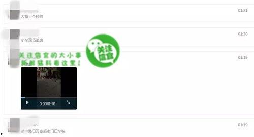 在哪里查看我的爆料视频,一探究竟,揭秘我的视频曝光之谜 第3张 在哪里查看我的爆料视频,一探究竟,揭秘我的视频曝光之谜 第3张