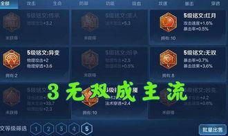 无双新皮肤爆料视频下载,揭秘神秘特效与独特设计