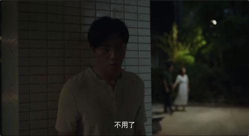 侦探爆料缅甸事件真相视频,侦探爆料背后的真相曝光 第3张 侦探爆料缅甸事件真相视频,侦探爆料背后的真相曝光 第3张