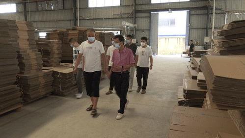 邛崃市最新爆料案件 第2张 邛崃市最新爆料案件 第2张