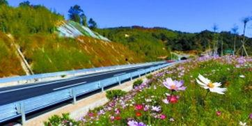 潮州枫溪爆料最新消息 第3张 潮州枫溪爆料最新消息 第3张