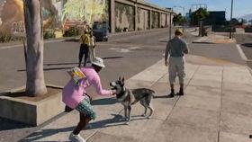 狗哥爆料新鞋视频,新鞋视频大曝光，潮流新品即将上线！