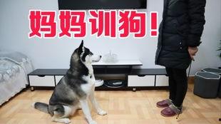 狗哥爆料新鞋视频,新鞋视频大曝光，潮流新品即将上线！  第2张