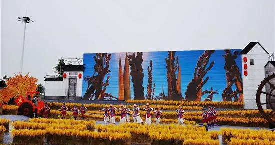 南京近期爆料新闻视频播放,揭秘背后惊人真相