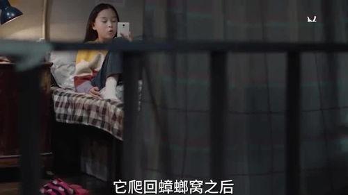 泰国小姐姐爆料视频播放,揭秘幕后故事 第2张 泰国小姐姐爆料视频播放,揭秘幕后故事 第2张