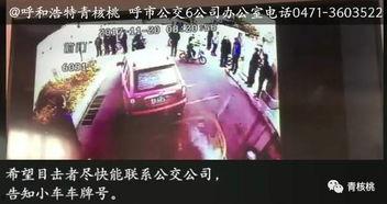 爆料苏北亮哥视频大全最新,揭秘网红魅力背后的故事  第3张