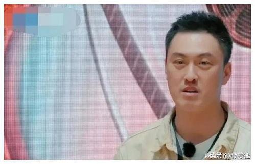 全娱乐圈都吃瓜的是谁,揭秘“吃瓜”风云人物之谜  第2张