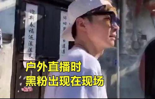 阿诺黑粉爆料视频,真相与争议并存  第2张